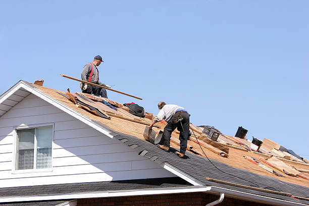 Best Roof Insulation Installation  in Colville, WA